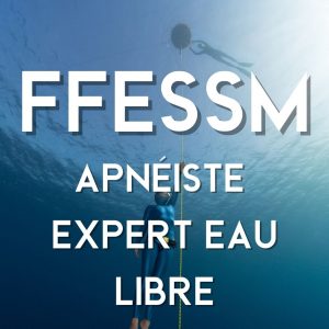 ffessm expert eau libre formation apnée into the blue